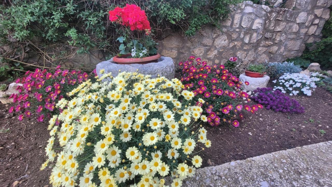 Lily Διαμέρισμα Krk Town Εξωτερικό φωτογραφία